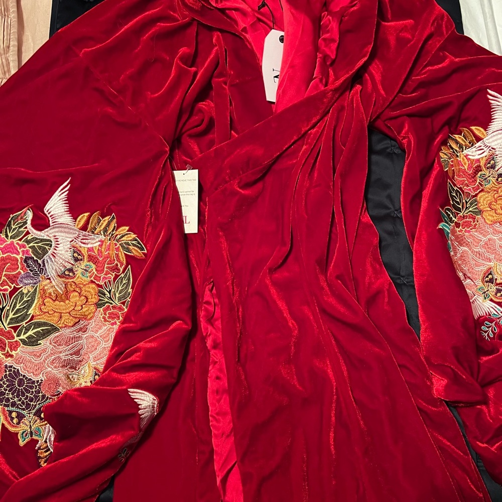Vibrant Red Lace Chemise and Robe Set - Picture 3 of 5